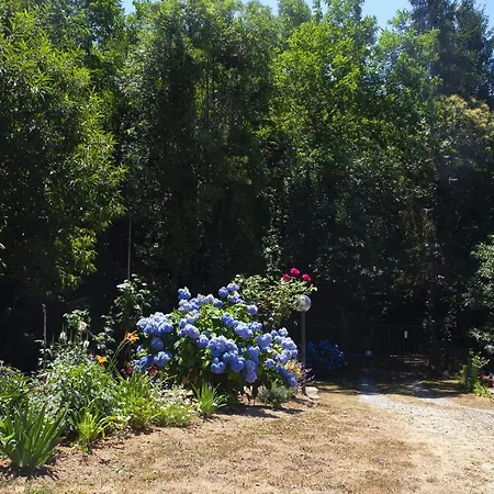 La Casa Del Sole 3* קורבארה