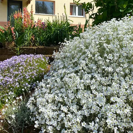 La Casa Del Sole B&B 코르바라