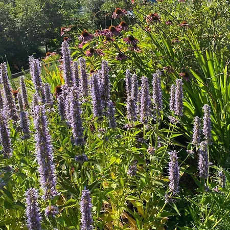 La Casa Del Sole 3* Corvara (Liguria)