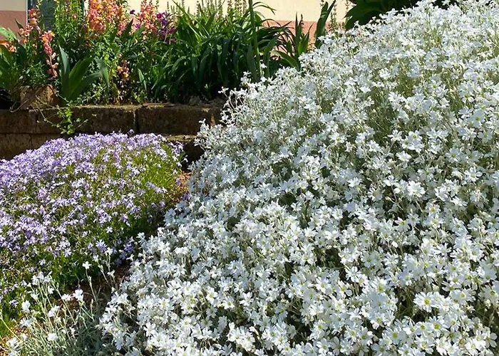 La Casa Del Sole Bed and Breakfast Corvara (Liguria)