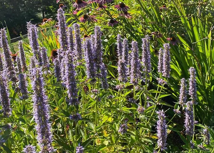 La Casa Del Sole 3* Corvara (Liguria)